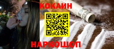 тгк Бийск