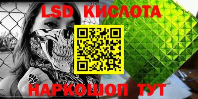 тгк Бийск