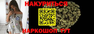 тгк Бийск