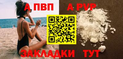тгк Бийск