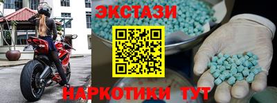 тгк Бийск